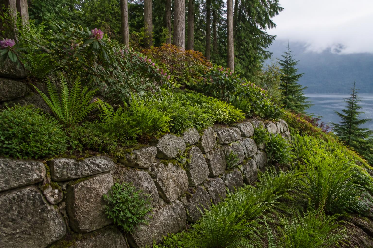 Dry-stacked granite retaining wall on a terraced hillside overlooking the water with Pacific Northwest ferns and evergreens