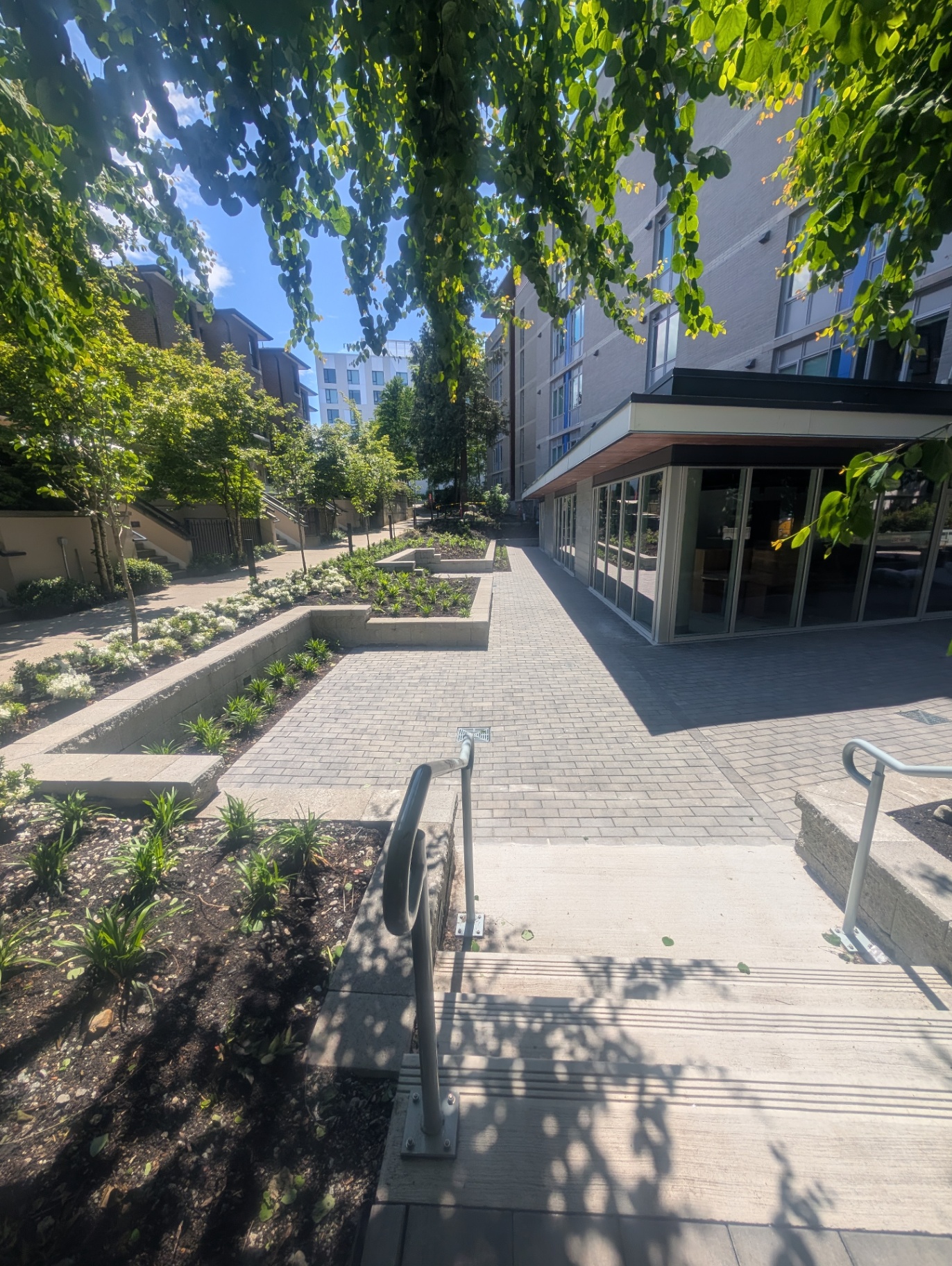 Paver walkway with terraced planting beds and retaining walls beside a modern building
